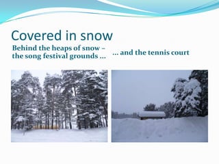 Charity fair at Christmas to support the Tartu animal shelter