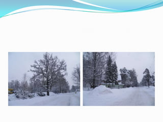 The „Christmasvision“ contest Both students ......and teachers participate.International projects in EG2006-2009Title: Teambuilding and Support Strategies          Partners: Almasgymnasiet (Sweden)