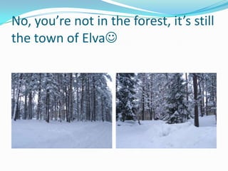 Sint- Jozefistituut (Belgium),