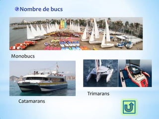 Nombre de bucs
Monobucs
Catamarans
Trimarans
 