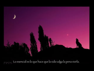 Lo esencial es lo que hace que la vida valga la pena vivirla.   