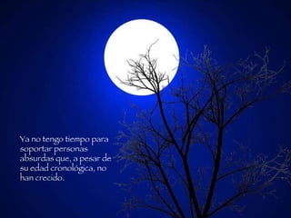 Ya no tengo tiempo para soportar personas absurdas que, a pesar de su edad cronológica, no han crecido.   