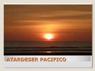 ATARDESER PACIFICO