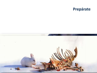 Prepárate
 