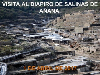 VISITA AL DIAPIRO DE SALINAS DE
AÑANA.
 
