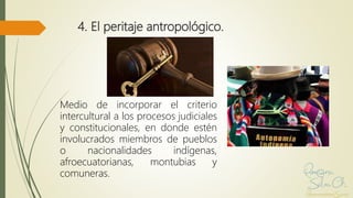El valor argumentativo de los peritajes antropológicos en las sentencias de la corte constitucional ecuatoriana
