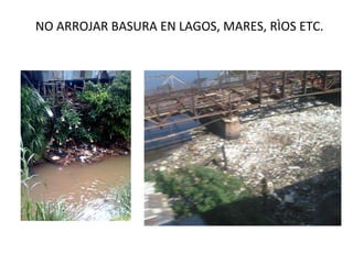 NO ARROJAR BASURA EN LAGOS, MARES, RÌOS ETC. 