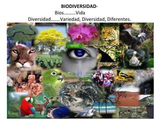 BIODIVERSIDAD - Bios.........Vida  Diversidad.......Variedad, Diversidad, Diferentes. 