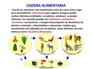 CADENA ALIMENTARIA   U na de las relaciones más importantes entre los seres vivos surge de la necesidad de   alimentarse  para reponer energía y poder realizar distintas actividades. Las plantas  producen  su propio alimento. Los animales pueden ser  herbívoros ,  carnívoros  u   omnívoros . Las bacterias  y hongos descomponen los deshechos de plantas y animales,  reduciéndolos a elementos  simples que, nuevamente son utilizados por las plantas  como alimento. De esta forma se cierra  la  cadena alimentaria . .   