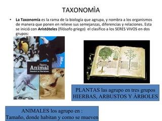 TAXONOMÌA La Taxonomía  es la rama de la biología que agrupa, y nombra a los organismos de manera que ponen en relieve sus semejanzas, diferencias y relaciones. Esta se inició con  Aristóteles  (filósofo griego)  el clasifico a los SERES VIVOS en dos grupos: PLANTAS las agrupo en tres grupos HIERBAS, ARBUSTOS Y ÀRBOLES ANIMALES los agrupo en : Tamaño, donde habitan y como se mueven 