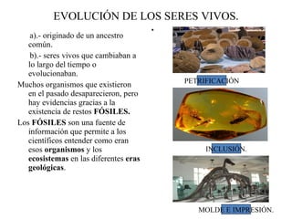 EVOLUCIÓN DE LOS SERES VIVOS. a).- originado de un ancestro común. b).- seres vivos que cambiaban a lo largo del tiempo o evolucionaban. Muchos organismos que existieron en el pasado desaparecieron, pero hay evidencias gracias a la existencia de restos  FÓSILES. Los  FÓSILES  son una fuente de información que permite a los científicos entender como eran esos  organismos  y los  ecosistemas  en las diferentes  eras geológicas . PETRIFICACIÓN INCLUSIÓN. MOLDE E IMPRESIÓN. 
