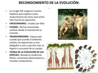RECONOCIMIENTO DE LA EVOLUCIÓN: . En el siglo XlX surgieron muchas hipótesis para explicar como evolucionaron los seres vivos entre ellas fueron las siguientes: CREACIONISMO.-  creados por Dios. FIJISMO.-  No han presentado cambios desde el mometo de su creación. TRANSFORMISMO.-  Supuso que cuando que cuando el ambiente cambia, los organismos se ven obligados a usar o ejercitar más un órgano o una parte de su cuerpo. TEORIA DE LA EVOLUCIÓN DE LAS ESPECIES.-  Basada en evidencias fósiles, numerosas observaciones y estudios comparativos. 