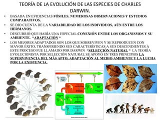 TEORÍA DE LA EVOLUCIÓN DE LAS ESPECIES DE CHARLES DARWIN. BASADA EN EVIDENCIAS  FÓSILES ,  NUMEROSAS OBSERVACIONES Y ESTUDIOS COMPARATIVOS. SE DIO CUENTA DE LA  VARIABILIDAD DE LOS INDIVIDUOS, AÚN ENTRE LOS HERMANOS. DESCUBRIÓ QUE HABÍA UNA ESPECIAL  CONEXIÓN ENTRE LOS ORGANISMOS Y SU AMBIENTE.  “ ADAPTACIÓN  “ LOS MEJORES ADAPTADOS SON LOS QUE SOBREVIVEN Y SE REPRODUCEN CON MAYOR ÉXITO, TRANSFIRIENDO SUS CARACTERÍSTICAS A SUS DESCENDIENTES A ESTE PROCESO FUE LLAMADO POR DARWIN  “ SELECCIÓN NATURAL  “  LA TEORÍA EVOLUCIONISTA POR SELECCIÓN NATURAL SE APOYÓ EN TRES PRINCIPIOS  LA SUPERVIVENCIA DEL MÁS APTO, ADAPTACIÓN AL MEDIO AMBIENTE Y LA LUCHA POR LA EXISTENCIA. 