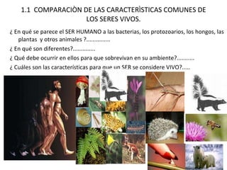 1.1  COMPARACIÒN DE LAS CARACTERÌSTICAS COMUNES DE LOS SERES VIVOS. ¿ En qué se parece el SER HUMANO a las bacterias, los protozoarios, los hongos, las plantas  y otros animales ?............... ¿ En qué son diferentes?.............. ¿ Qué debe ocurrir en ellos para que sobrevivan en su ambiente?........... ¿ Cuáles son las características para que un SER se considere VIVO?..... 