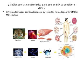 ¿ Cuáles son las característica para que un SER se considere VIVO ? R=  Están formados por CÈLULAS que a su vez están formados por ÀTOMOS y  MÒLECULAS. 