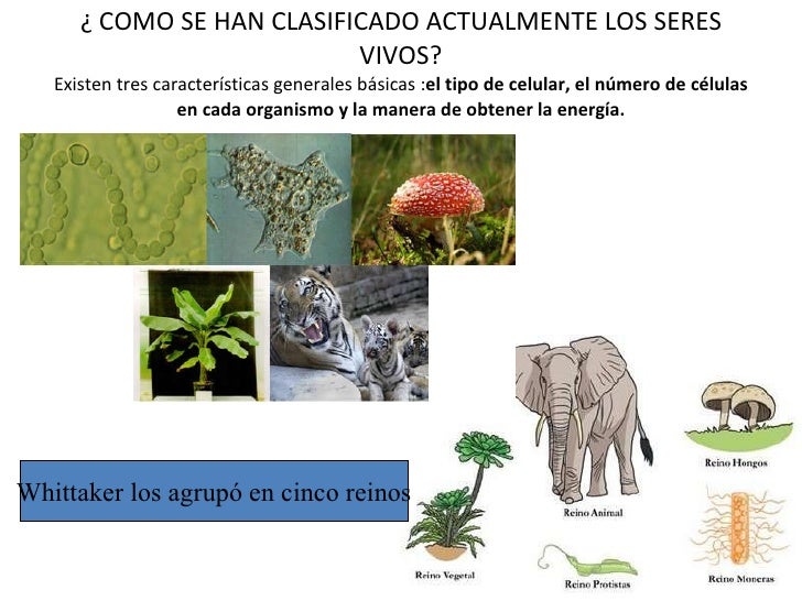 LA BIODIVERSIDAD RESULTADO DE LA EVOLUCIÓN