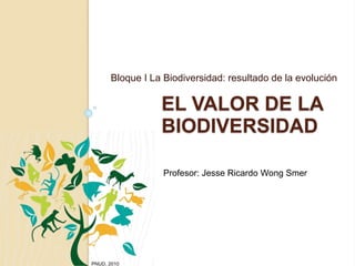 EL VALOR DE LA
BIODIVERSIDAD
Bloque I La Biodiversidad: resultado de la evolución
Profesor: Jesse Ricardo Wong Smer
 