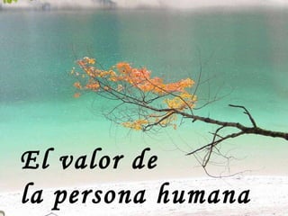 El valor de  la persona humana 