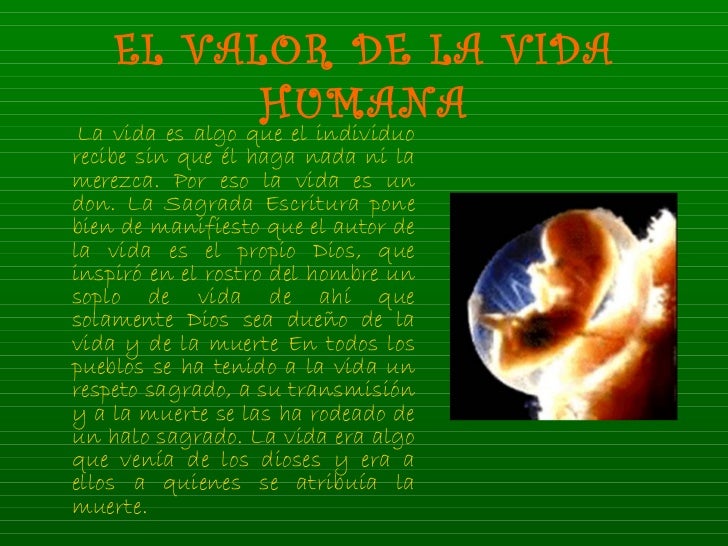 El valor de la vida