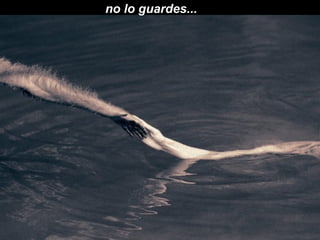 no lo guardes...  