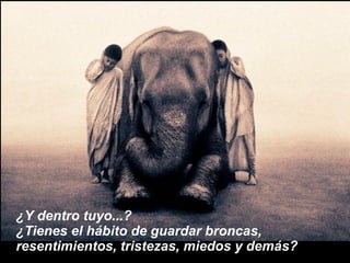¿Y dentro tuyo...? ¿Tienes el hábito de guardar broncas,  resentimientos, tristezas, miedos y demás?   