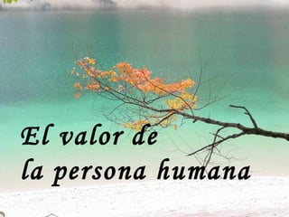 El valor de
la persona humana
 