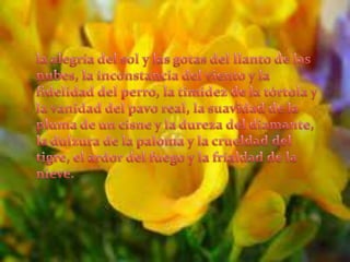 la alegría del sol y las gotas del llanto de las nubes, la inconstancia del viento y la fidelidad del perro, la timidez de la tórtola y la vanidad del pavo real, la suavidad de la pluma de un cisne y la dureza del diamante, la dulzura de la paloma y la crueldad del tigre, el ardor del fuego y la frialdad de la nieve.