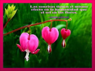 Las sonrisas tienen el mismo  efecto en la humanidad que  el sol en las flores. —JOSEPH ADDISON 