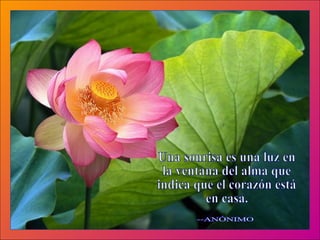 Una sonrisa es una luz en la ventana del alma que indica que el corazón está en casa. --ANÓNIMO 