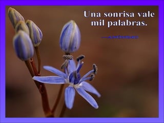 Una sonrisa vale  mil palabras. —ANÓNIMO 