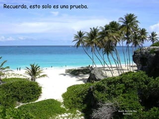 Beach Bottom Bay Barbados Recuerda, esto solo es una prueba.   