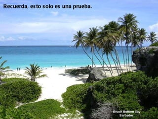 Beach Bottom Bay Barbados Recuerda, esto solo es una prueba.   