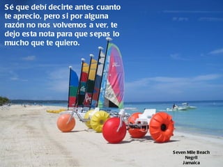 Sé que debí decirte antes cuanto te aprecio, pero si por alguna razón no nos volvemos a ver, te dejo esta nota para que sepas lo mucho que te quiero.   Seven Mile Beach Negril Jamaica 