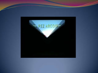 No didácticosVideos didácticos:Desarrollan:· contenidos· habilidades acordes    al curriculumSe adaptan a:· características    psicopedagógicas· culturales· educativas