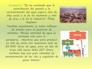Ecológicas: "Se ha estimado que la contribución del ganado a la contaminación del agua supera más de diez veces a la de los humanos y más de tres a la de la industria" Philip Kapleau. 
También anualmente se talan millones de árboles para el pastoreo de animales. Mucha cantidad de agua es utilizada solo para la ganadería, mientras que para producir un kilo de carne son necesarios más de 20.000 litros de agua, para un kilo de trigo sólo hacen falta 227 litros; también hay una gran cantidad de contaminación de los ríos y expulsión de gases tóxicos. 
 