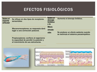 EFECTOS FISIOLÓGICOS
Sobre el
soporte
articular
Se influye en dos tipos de receptores
sensoriales:
Mecanorreceptores: su respuesta dará
lugar a una corrección postural.
Propioceptores: confiere al organismo
la capacidad de percibir la posición y
el movimiento de sus estructuras.
Sobre el
drenaje
linfático
y la
Micro
circula-
ción
Aumenta el drenaje linfático.
Se produce un efecto sedante cuando
se estimula el sistema parasimpático.
 