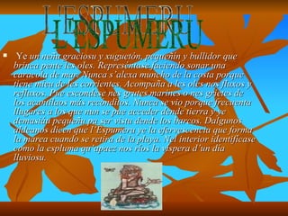 Ye  un neñu graciosu y xuguetón, pequeñín y bullidor que brinca pente les oles. Represéntase faciendo sonar una caracola de mar. Nunca s’alexa muncho de la costa porque tiene mieu de les corrientes. Acompaña a les oles nos fluxos y refluxos. Pue escondese nes grutes marines o nes grietes de los acantilaos más recónditos. Nunca se vio porque frecuenta llugares a los que nun se pue acceder dende tierra y ye demasiáu pequeñu pa ser vistu dende los barcos. Dalgunos aldeanos dicen que l’Espumeru ye la efervescencia que forma la marea cuando se retira de la playa. Nel interior identifícase como la espluma qu’apaez nos ríos la víspera d’un día lluviosu. L'ESPUMERU 
