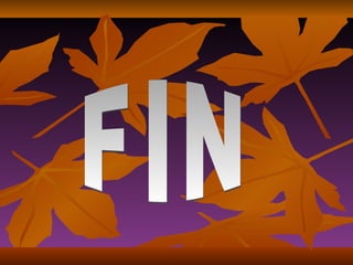 FIN 