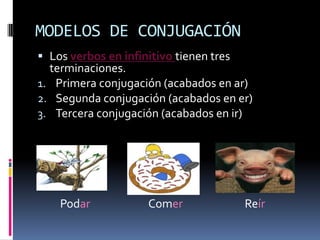 MODELOS DE CONJUGACIÓN
 Los verbos en infinitivo tienen tres
  terminaciones.
1. Primera conjugación (acabados en ar)
2. Segunda conjugación (acabados en er)
3. Tercera conjugación (acabados en ir)




    Podar           Comer            Reír
 