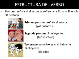 ESTRUCTURA DEL VERBO
-   Persona: señala si el verbo se refiere a la 1ª, a la 2ª o a la
    3ª persona:

                 ...
