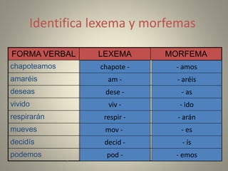 Identifica lexema y morfemas
FORMA VERBAL LEXEMA MORFEMA
chapoteamos
amaréis
deseas
vivido
respirarán
mueves
decidís
podemos
7
chapote - - amos
pod -
decid -
mov -
respir -
viv -
- emos
- ís
- es
- arán
- ido
- as
- aréis
dese -
am -
 
