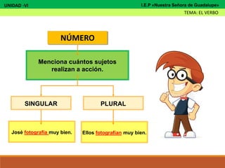 NÚMERO
Menciona cuántos sujetos
realizan a acción.
SINGULAR PLURAL
José fotografía muy bien. Ellos fotografían muy bien.
UNIDAD -VI
TEMA: EL VERBO
I.E.P «Nuestra Señora de Guadalupe»
 