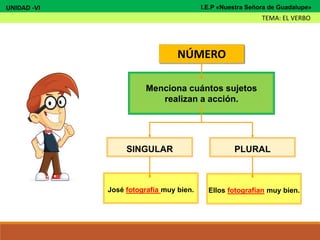 NÚMERO
Menciona cuántos sujetos
realizan a acción.
SINGULAR PLURAL
José fotografía muy bien. Ellos fotografían muy bien.
UNIDAD -VI
TEMA: EL VERBO
I.E.P «Nuestra Señora de Guadalupe»
 