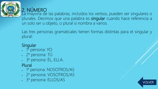 2. NÚMERO
La mayoría de las palabras, incluidos los verbos, pueden ser singulares o
plurales. Decimos que una palabra es singular cuando hace referencia a
un solo ser u objeto, o plural si nombra a varios.
Las tres personas gramaticales tienen formas distintas para el singular y
plural:
Singular
 1° persona: YO
 2° persona: TÚ
 3° persona: ÉL, ELLA.
Plural
 1° persona: NOSOTROS/AS
 2° persona: VOSOTROS/AS
 3° persona: ELLOS/AS
VOLVER
 