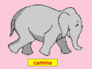 camina