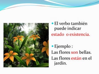 El verbo también puede indicar <br />estado  o existencia.<br />Ejemplo :<br />Las flores son bellas.<br />Las flores está...