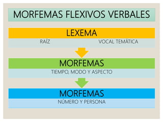 MORFEMAS FLEXIVOS VERBALES
MORFEMAS
NÚMERO Y PERSONA
MORFEMAS
TIEMPO, MODO Y ASPECTO
LEXEMA
RAÍZ VOCAL TEMÁTICA
 