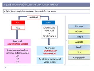 2. ¿QUÉ INFORMACIÓN CONTIENE UNA FORMA VERBAL?
• Toda forma verbal nos ofrece diversas informaciones
AMABAS
AM- -ABAS
RAÍZ MORFEMAS
VERBALES
o
DESINENCIAS
Aporta el
SIGNIFICADO LÉXICO
Aportan el
SIGNIFICADO
GRAMATICAL
Se obtiene quitando al
infinitivo la terminación
-AR
-ER
-IR
Se obtiene quitando al
verbo la raíz.
Persona
Número
Tiempo
Aspecto
Modo
Voz
Conjugación
 