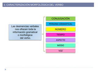 3. CARACTERIZACIÓN MORFOLÓGICA DEL VERBO
CONJUGACIÓN
PERSONA GRAMATICAL
NÚMERO
TIEMPO
ASPECTO
MODO
Las desinencias verbales
nos ofrecen toda la
información gramatical
o morfológica
del verbo.
VOZ
 