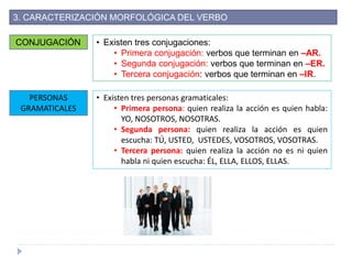 3. CARACTERIZACIÓN MORFOLÓGICA DEL VERBO
CONJUGACIÓN • Existen tres conjugaciones:
• Primera conjugación: verbos que terminan en –AR.
• Segunda conjugación: verbos que terminan en –ER.
• Tercera conjugación: verbos que terminan en –IR.
PERSONAS
GRAMATICALES
• Existen tres personas gramaticales:
• Primera persona: quien realiza la acción es quien habla:
YO, NOSOTROS, NOSOTRAS.
• Segunda persona: quien realiza la acción es quien
escucha: TÚ, USTED, USTEDES, VOSOTROS, VOSOTRAS.
• Tercera persona: quien realiza la acción no es ni quien
habla ni quien escucha: ÉL, ELLA, ELLOS, ELLAS.
 